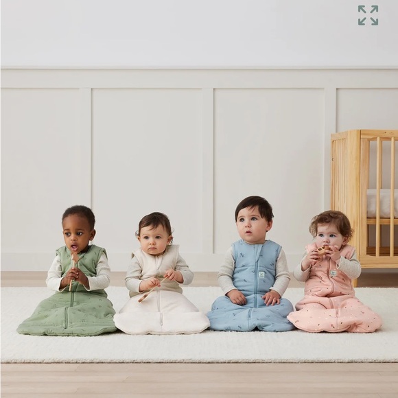 Ergo Pouch, Jersey Sleep Sack Tog 2.5 Dragonfly Pattern size 8-24 months - Picture 5 of 7